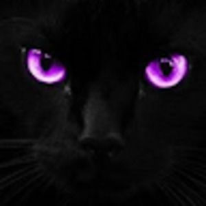 Meet your Posher, Marsha